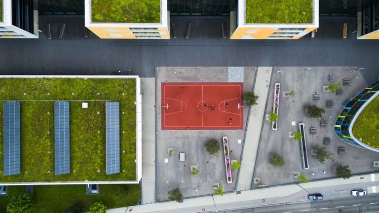 Lire la suite à propos de l’article Qu’est ce qu’un toit végétalisé et pourquoi le choisir ?
