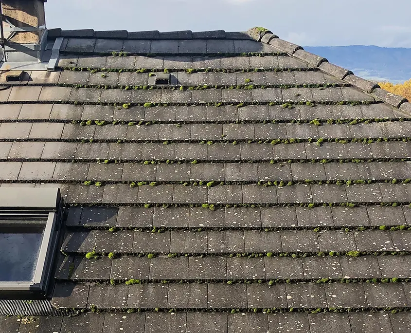 Nettoyant biodégradable pour toitures