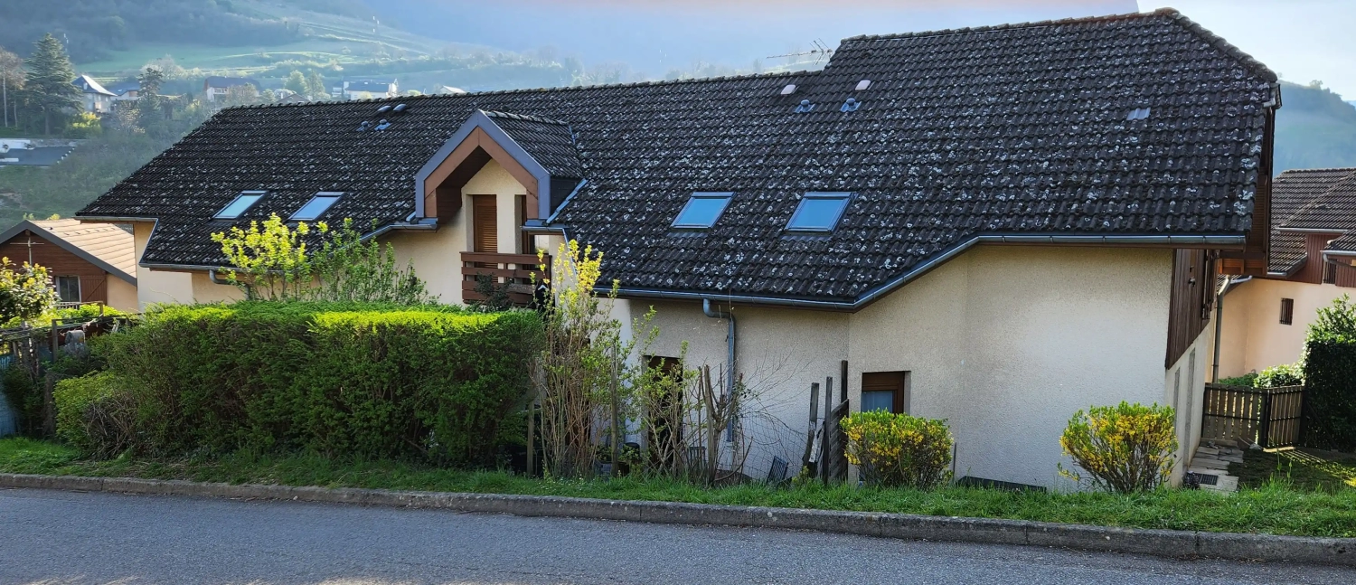 traitement-tuiles-ciment-chambery-avant